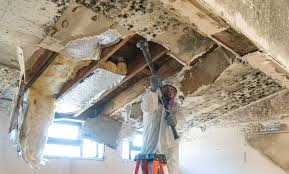 Best Water Damage & Mold Remediation  in Morro Bay, CA